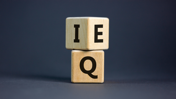Theories of Emotional and Social Intelligence in Vocational Training