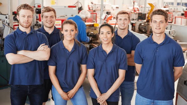 Utilising Cognitive Load Theory to Optimise Apprenticeship Training Programmes