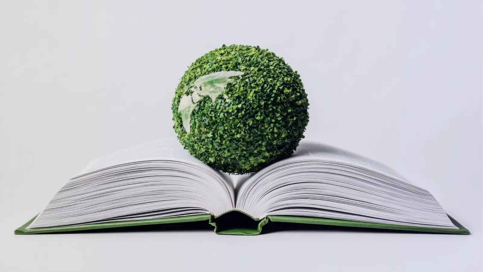 Green Transition and Sustainability in Vocational Education and Training