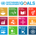 The Role of TVET in Achieving the UN’s Sustainable Development Goals